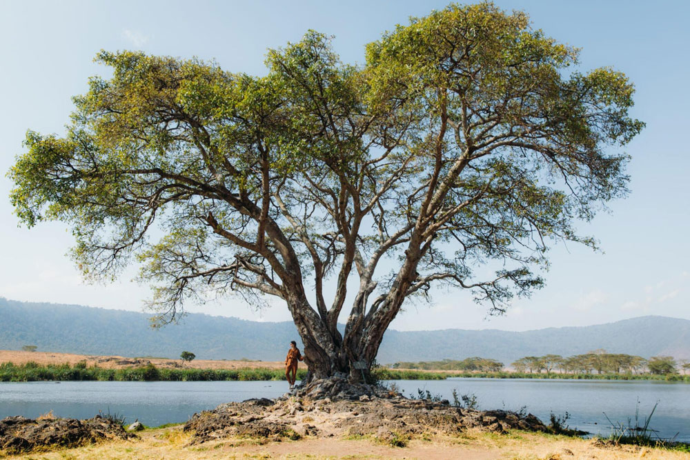 A Day in the Ngorongoro Crater